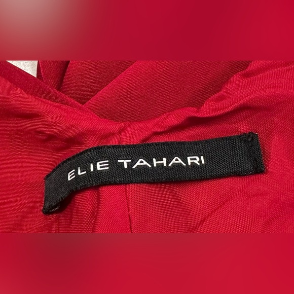 Elie Tahari - Sumptuous Scarlet Silk Gown - Ruched Bodice/Draped Skirt, EUC - 12 - Picture 10 of 14